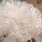 35cm Short Boneless Soft Lolita Petticoat (HCT08)