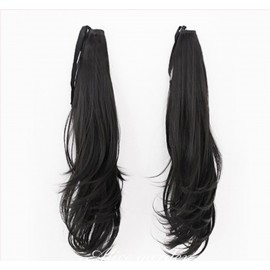 Lolita Dual Horsetail Style Wig (WIG60)